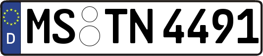 MS-TN4491
