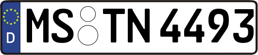 MS-TN4493