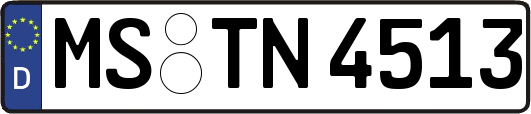 MS-TN4513