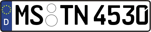 MS-TN4530