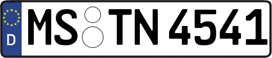 MS-TN4541