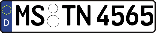 MS-TN4565