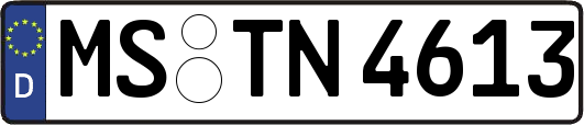 MS-TN4613