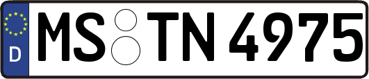 MS-TN4975