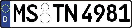 MS-TN4981