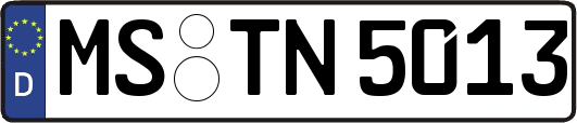 MS-TN5013