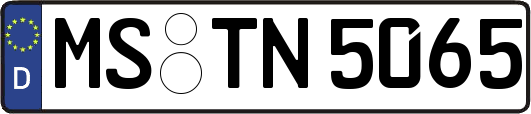 MS-TN5065
