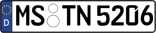 MS-TN5206