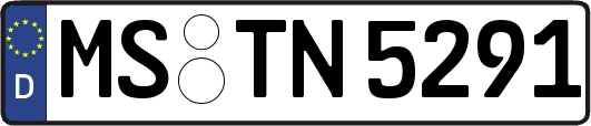 MS-TN5291