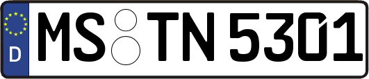MS-TN5301