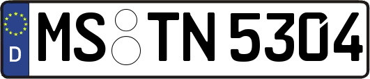 MS-TN5304