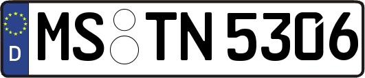 MS-TN5306