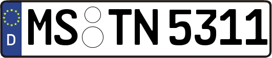 MS-TN5311