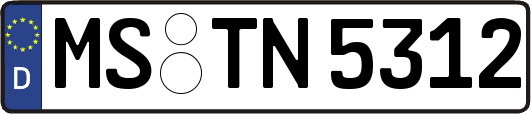 MS-TN5312