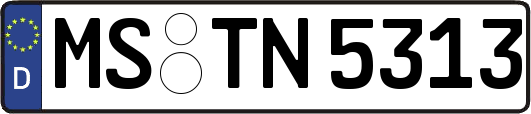 MS-TN5313