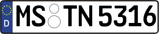 MS-TN5316