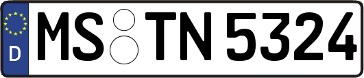 MS-TN5324