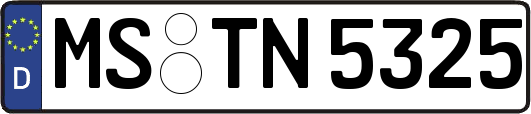 MS-TN5325