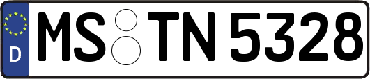 MS-TN5328