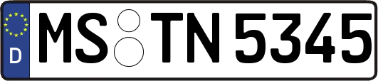 MS-TN5345