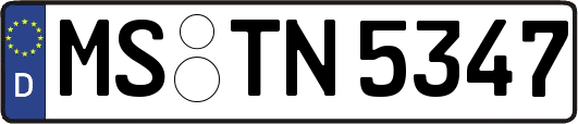 MS-TN5347