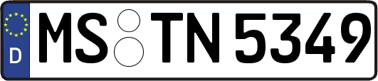 MS-TN5349