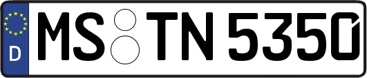 MS-TN5350