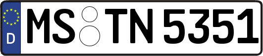 MS-TN5351