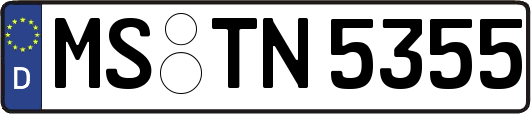 MS-TN5355