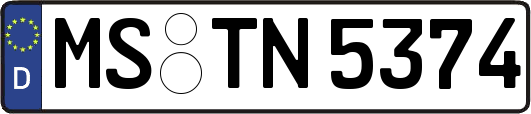 MS-TN5374