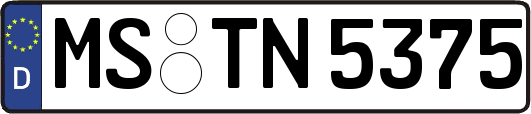 MS-TN5375