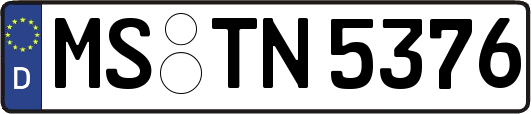 MS-TN5376