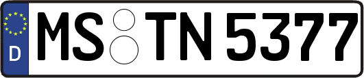 MS-TN5377