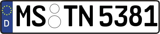 MS-TN5381
