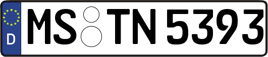 MS-TN5393