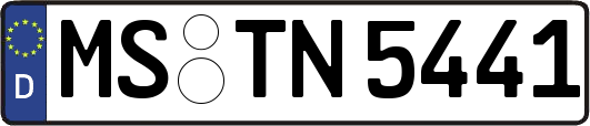 MS-TN5441