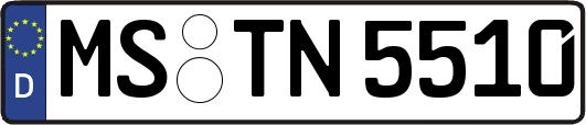 MS-TN5510