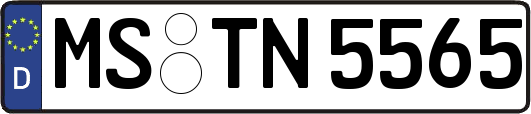 MS-TN5565
