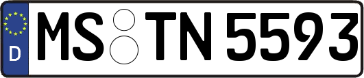 MS-TN5593