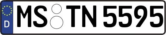 MS-TN5595