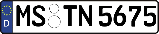 MS-TN5675