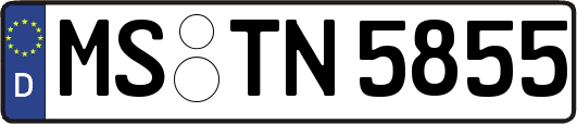 MS-TN5855