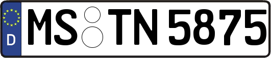 MS-TN5875