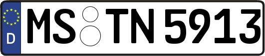 MS-TN5913