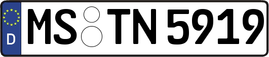 MS-TN5919