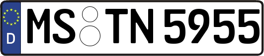 MS-TN5955