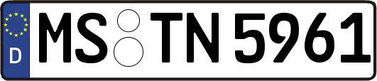 MS-TN5961