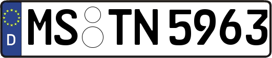 MS-TN5963