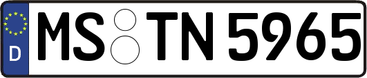 MS-TN5965
