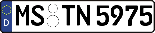 MS-TN5975